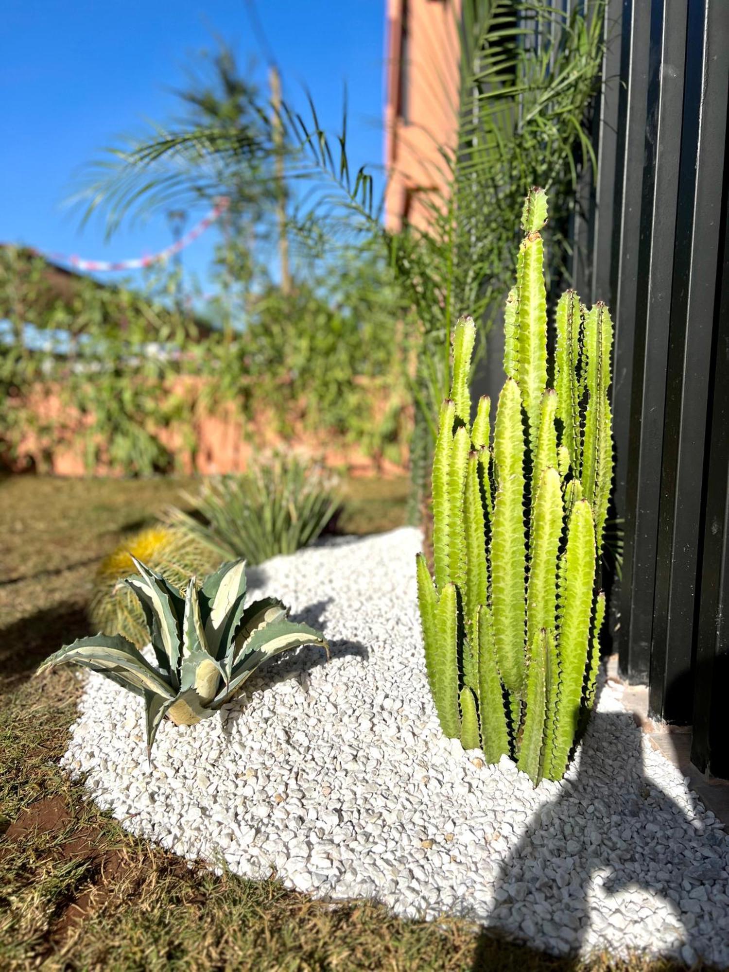 Noria Cosy & Chic Jardin Prive Appartement *