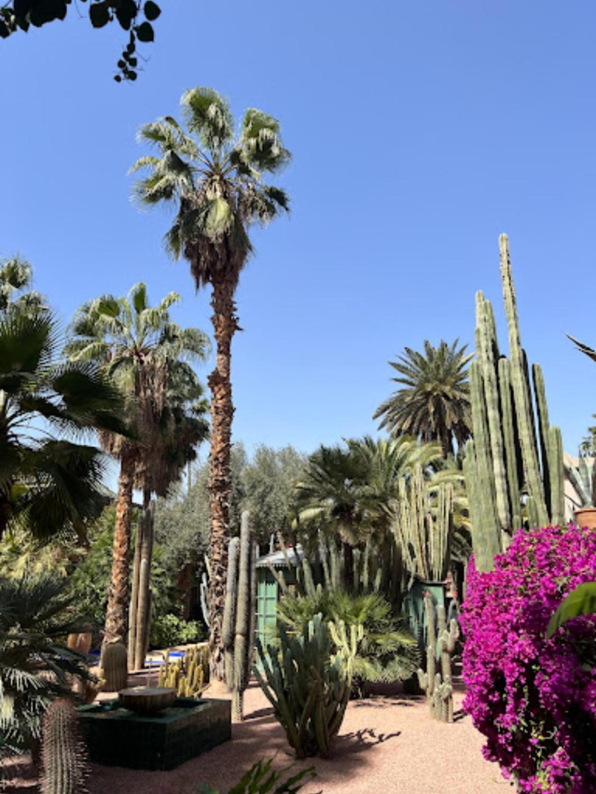 Magnifique 2 Piscine Hivernage Sofitel Marrakesh