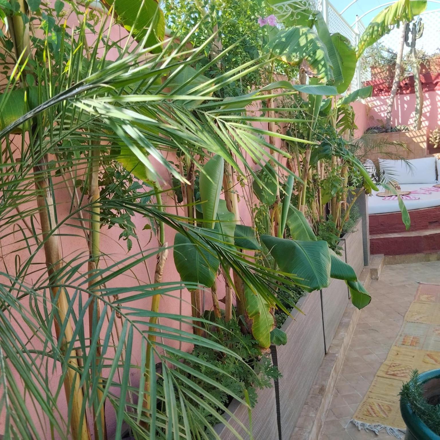 Riad Laith (adults Only) Marrakesch