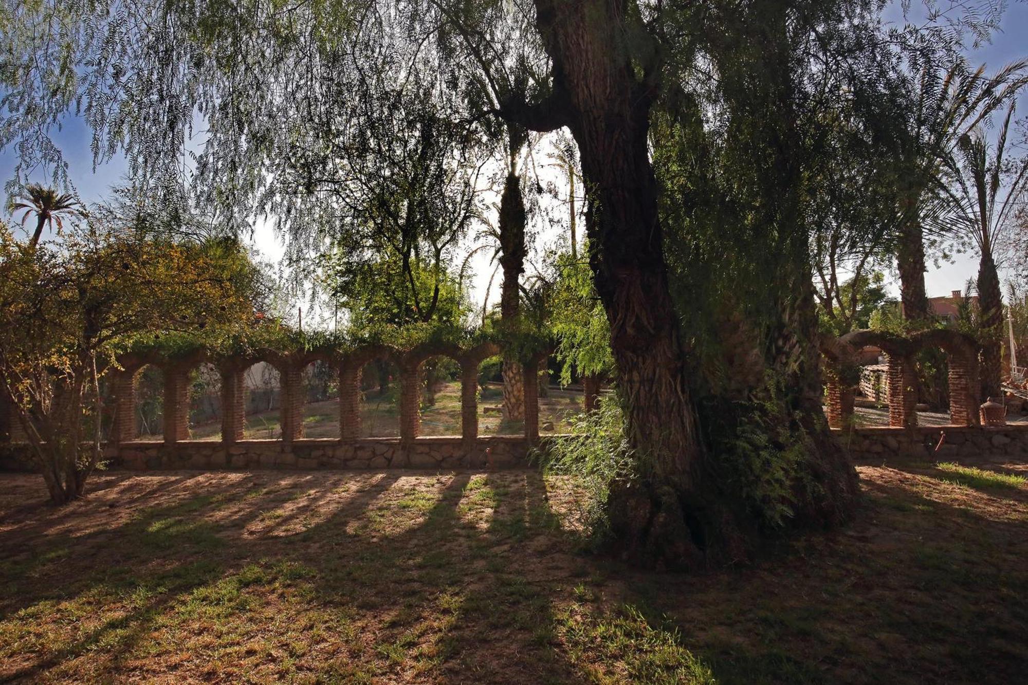 Amareina * Marrakesh