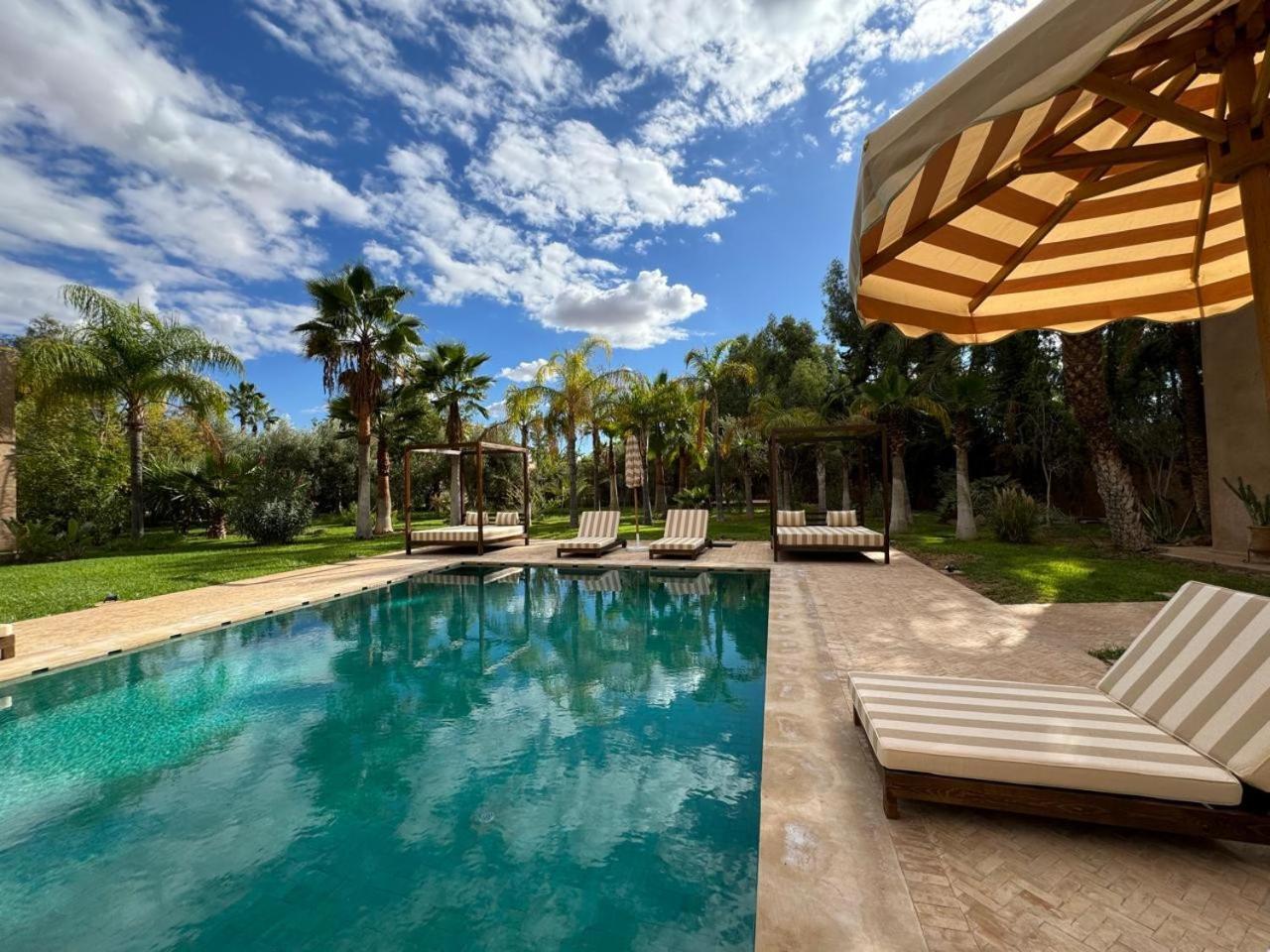 Ania Marrakesh