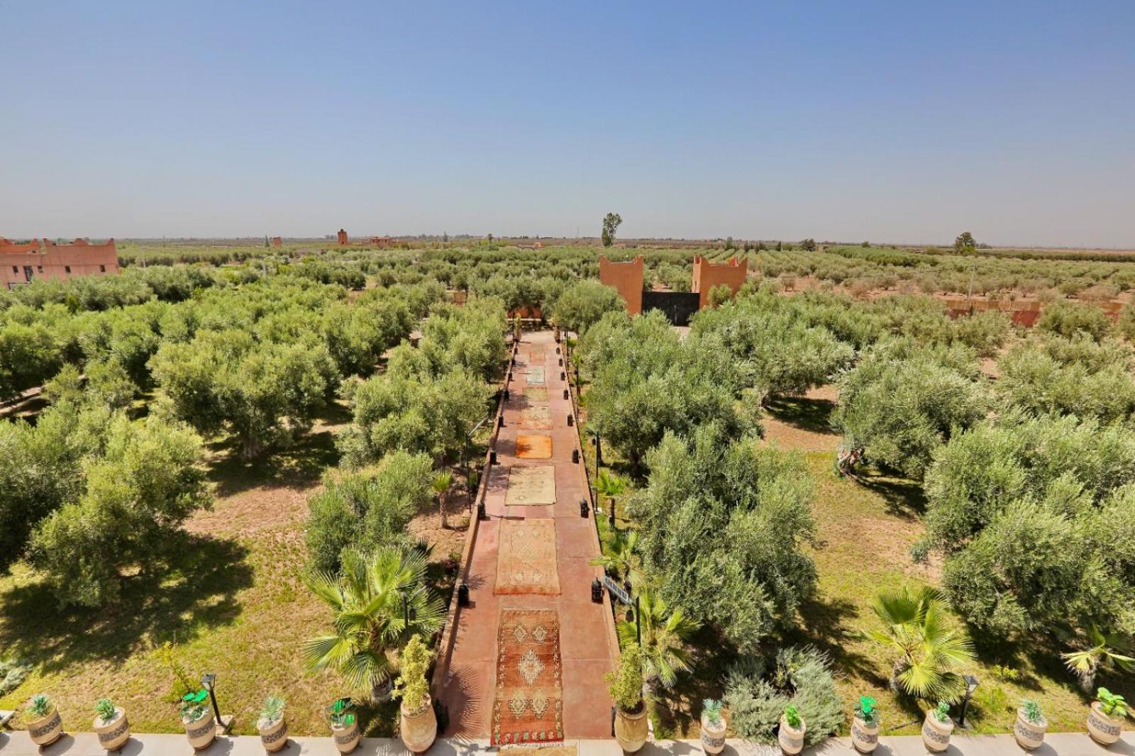 Blieda Sahar Villa Marrakesh