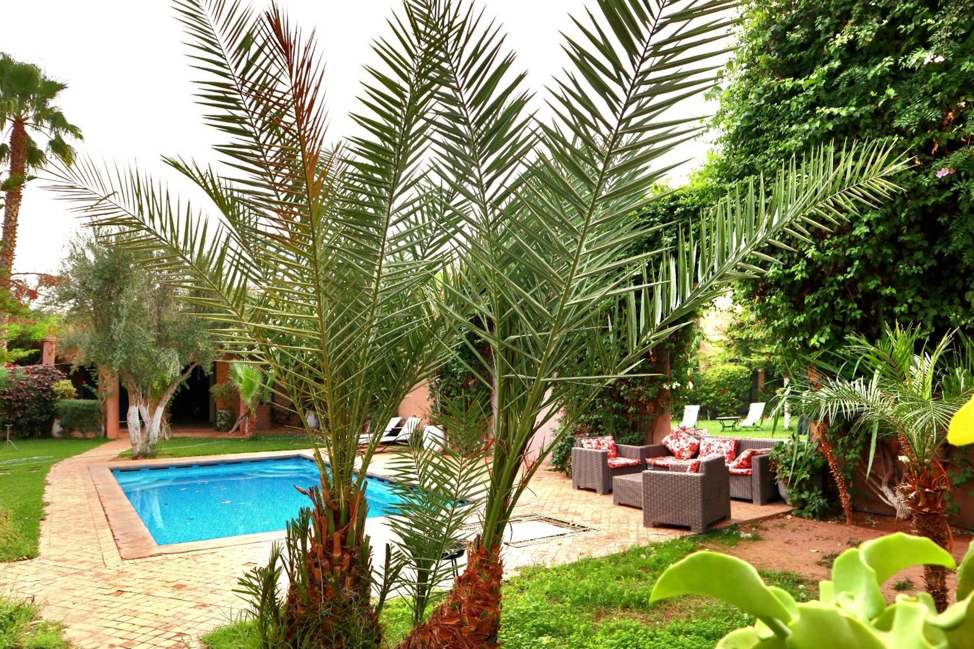 Aya * Marrakesh