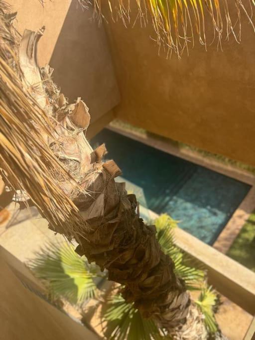Villa Sublime Avec Ascenseur Piscine Chauffee