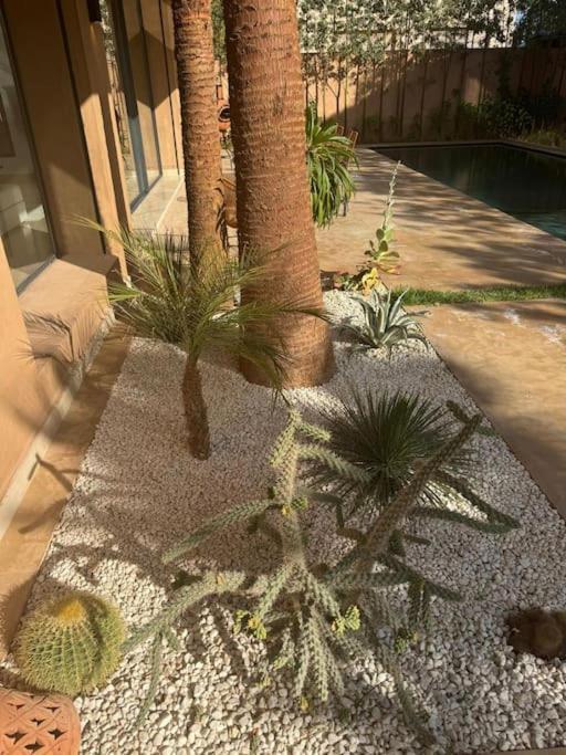 Sublime Avec Ascenseur Piscine Chauffee * Marrakesh