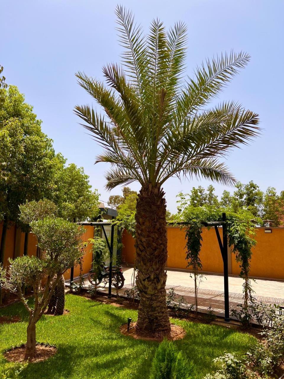 Villa Avec Piscine Et Jardin *