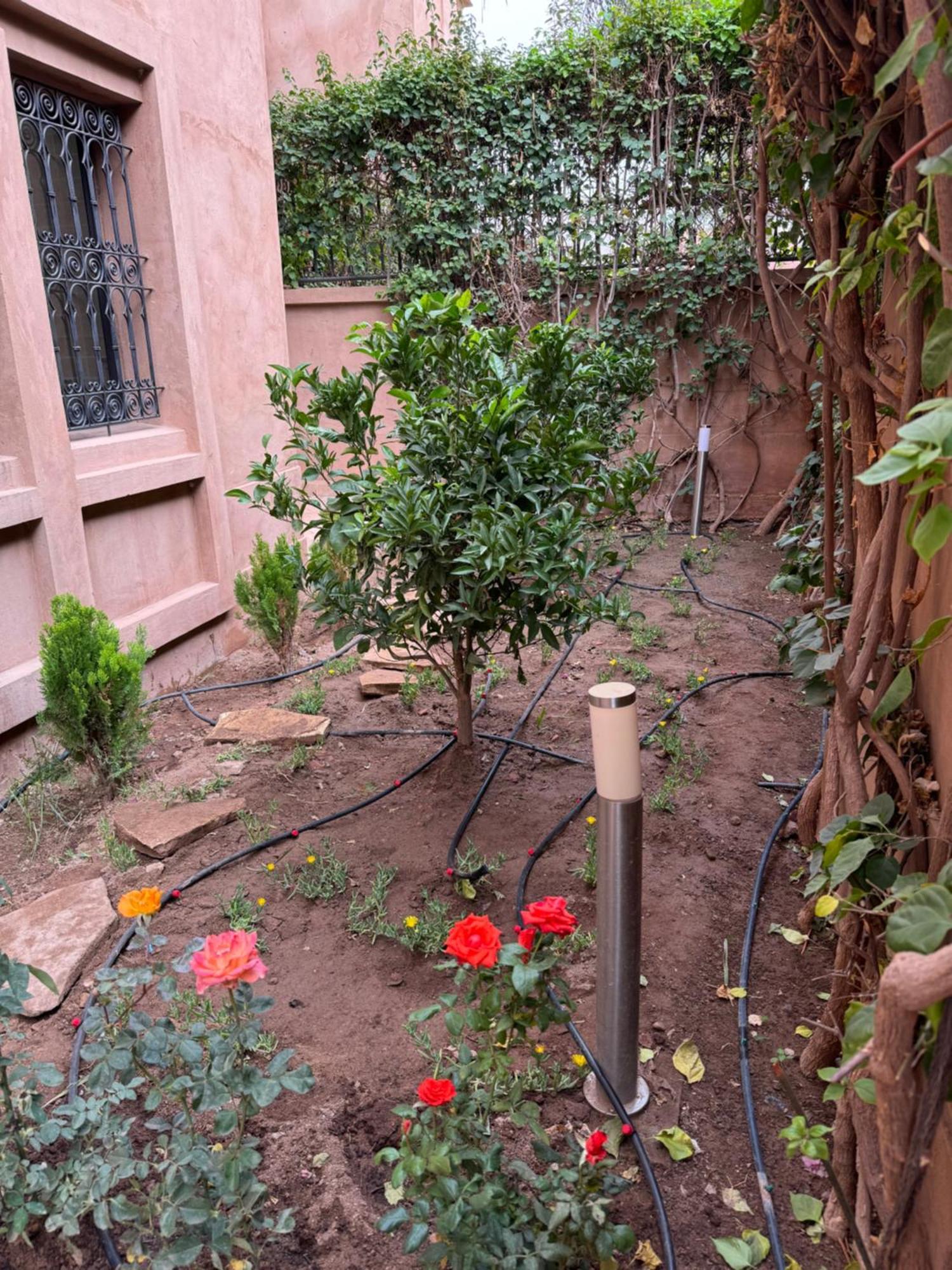 Cozy Rez De Jardin Casa vacanze *