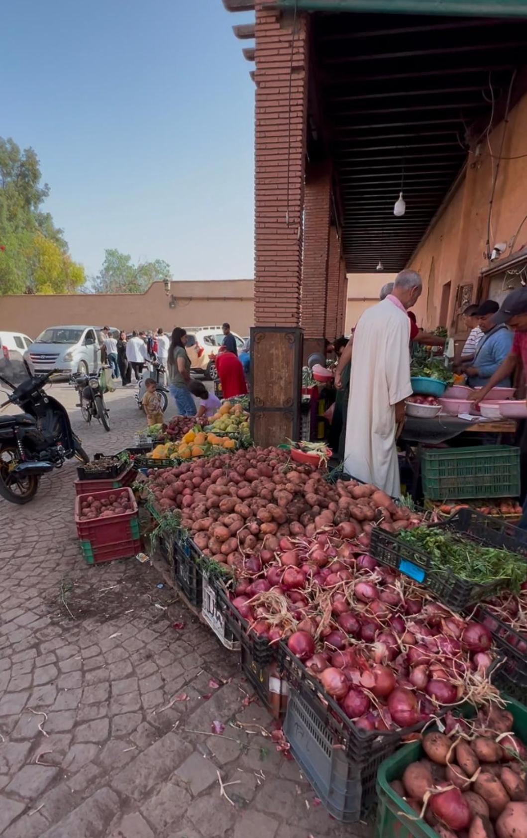 Dutilleul Marrakesh