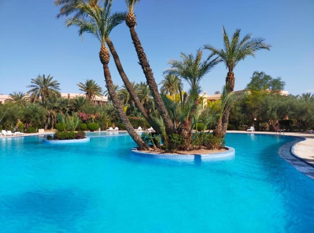 Les Jardins De La Palmeraie Premium Apartment