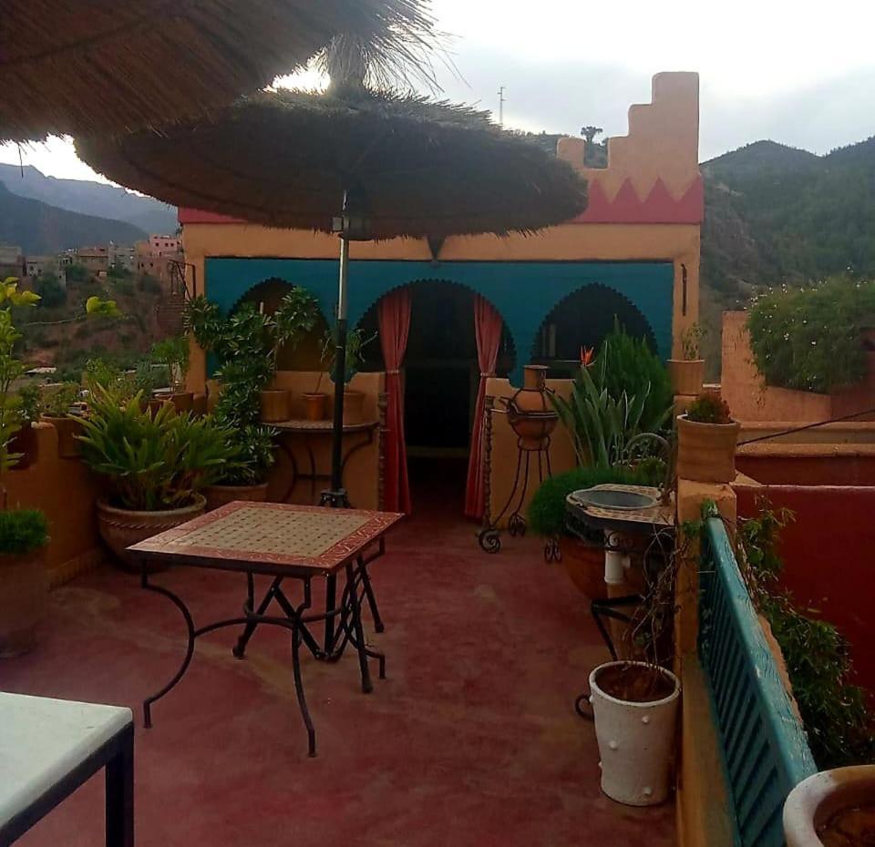 Maison Des Maitres * Marrakesh
