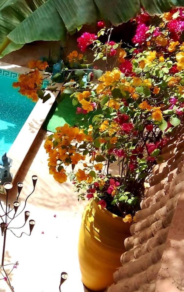 Hébergement de vacances Maison Des Maitres