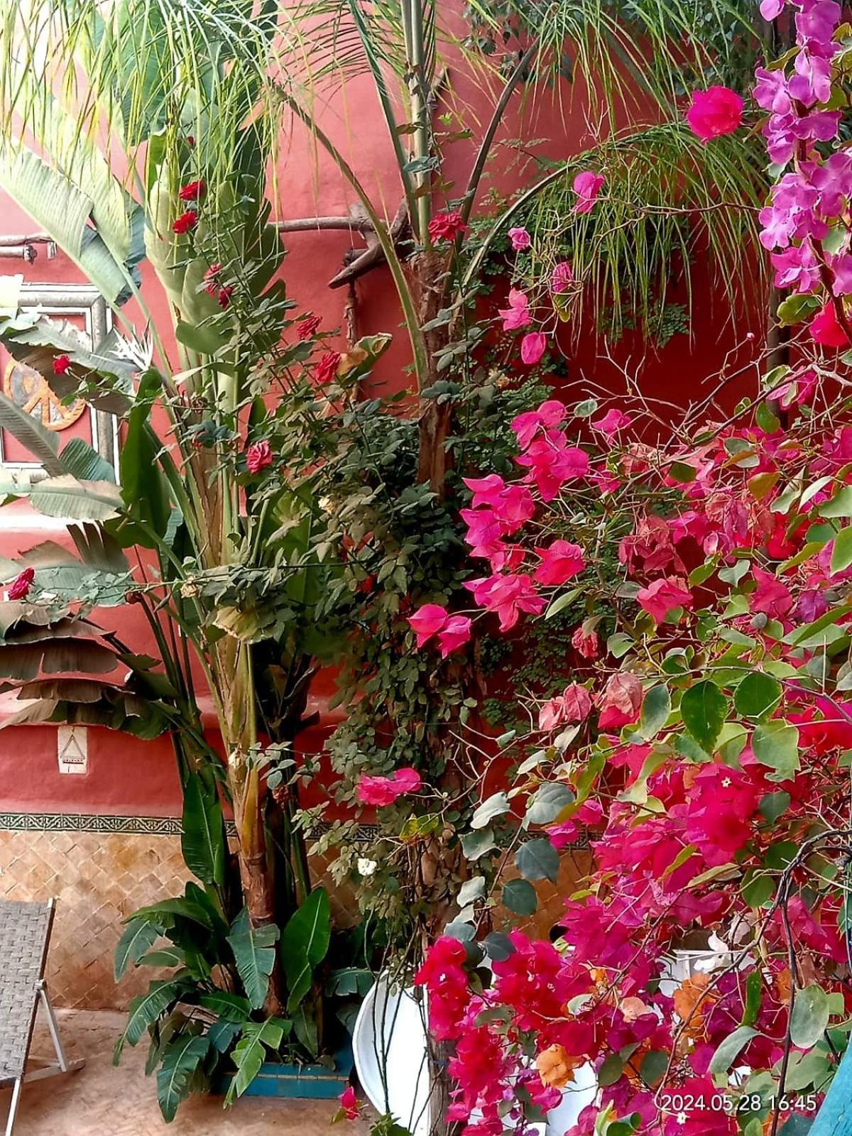 Maison Des Maitres Hébergement de vacances Marrakesh