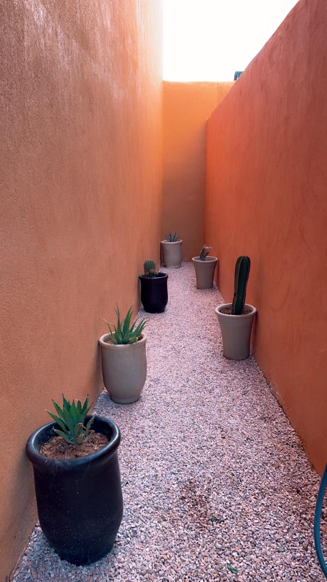 Dar Celya Sfia Marrakesh