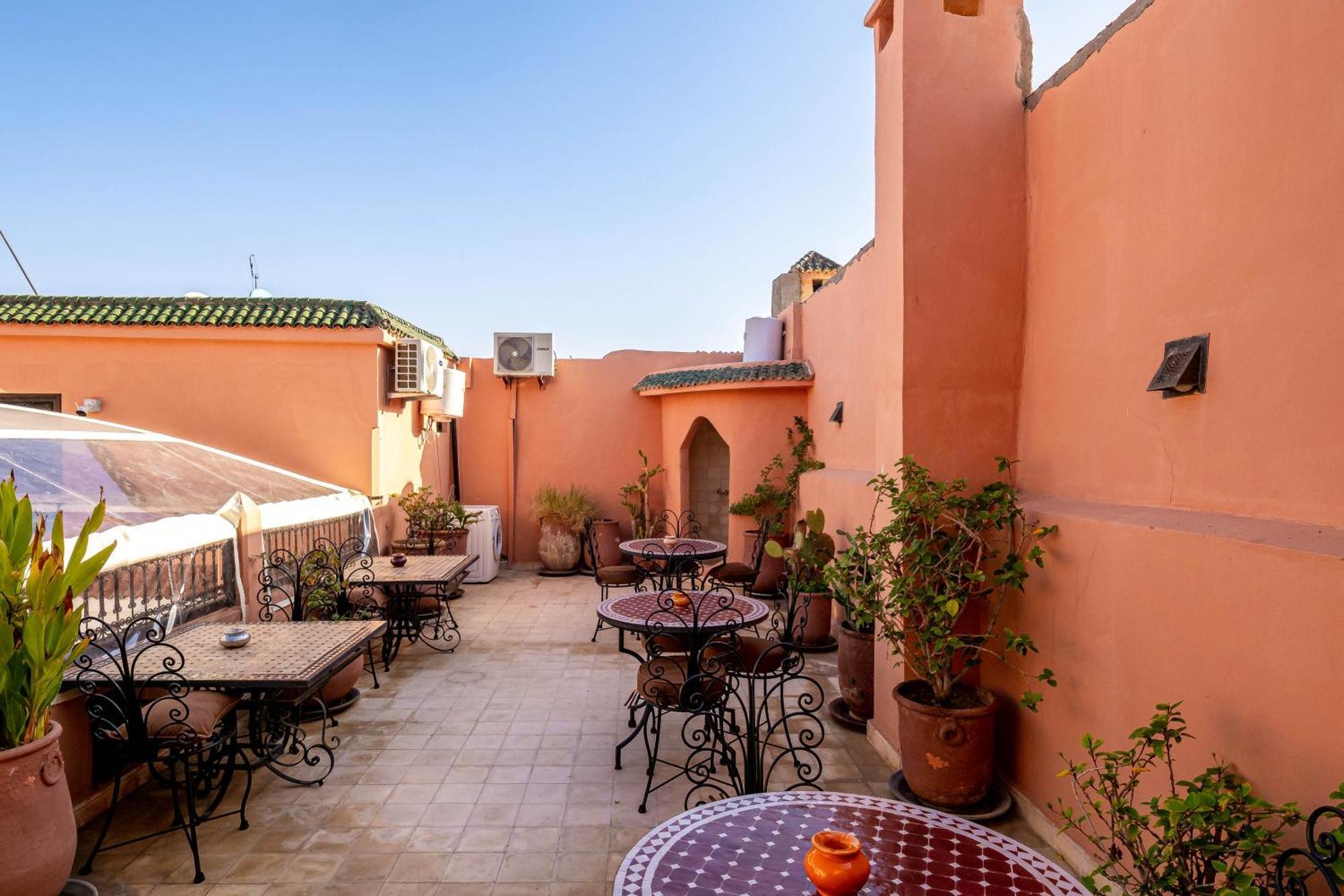 La Gazelle Du Sud Riad