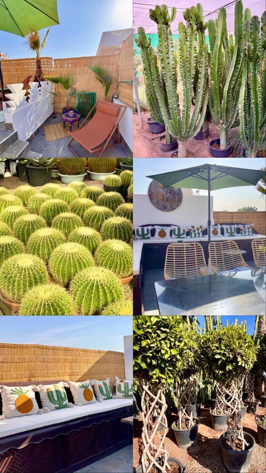 Holiday home Privatise Jusqu A 10 Personnes Avec 5 Suites, Bassin Et Rooftop A Seulement 15 Minutes A Pied De La Celebre Place Jemaa El Fna Marrakesh