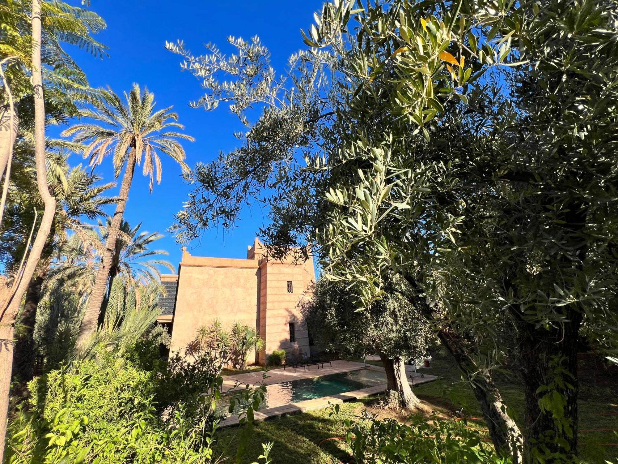 Kasbah De Luxe, Piscine Et Jacuzzi Chauffes, Jardin Tropical *