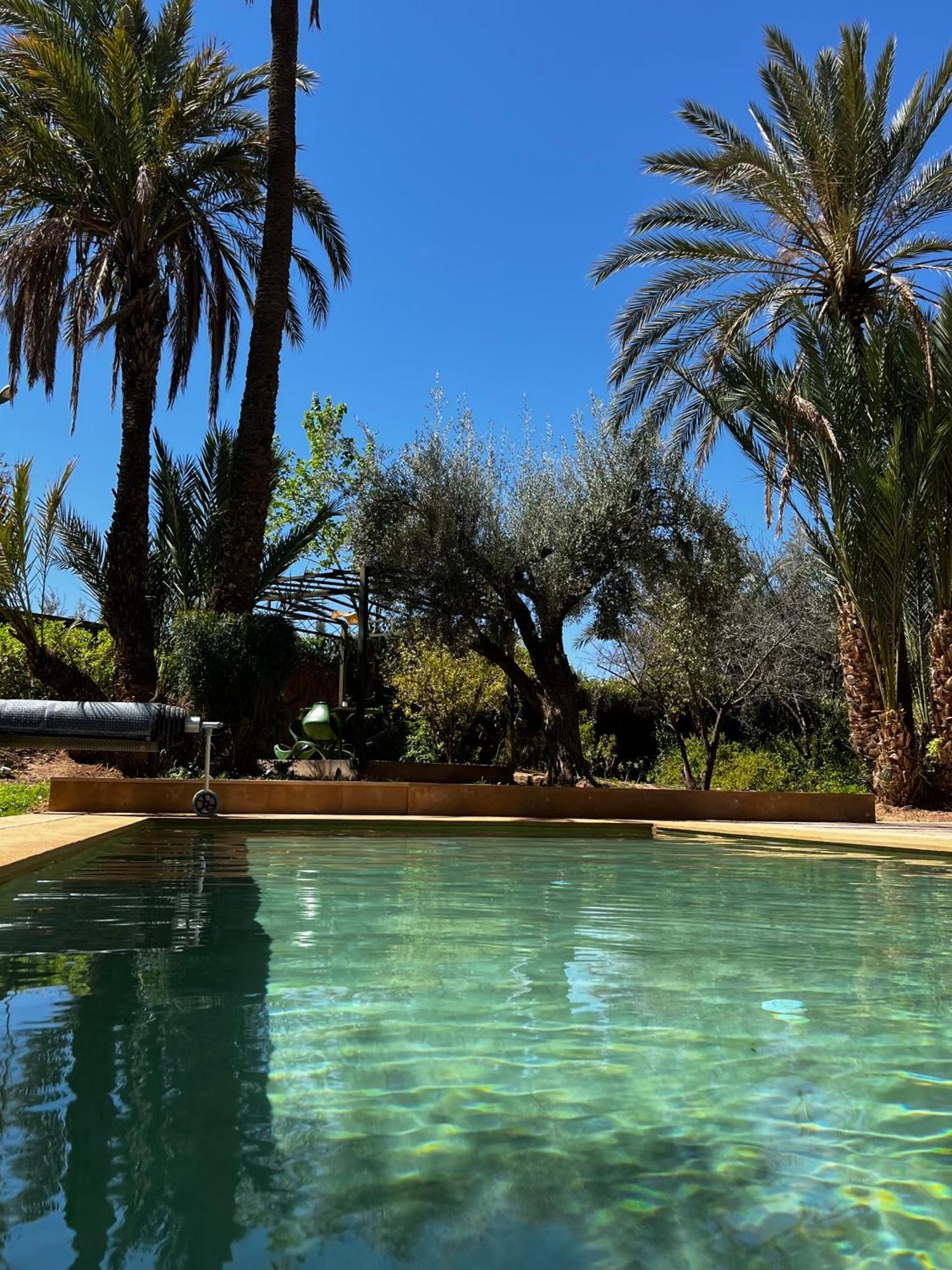 Villa Kasbah De Luxe, Piscine Et Jacuzzi Chauffes, Jardin Tropical