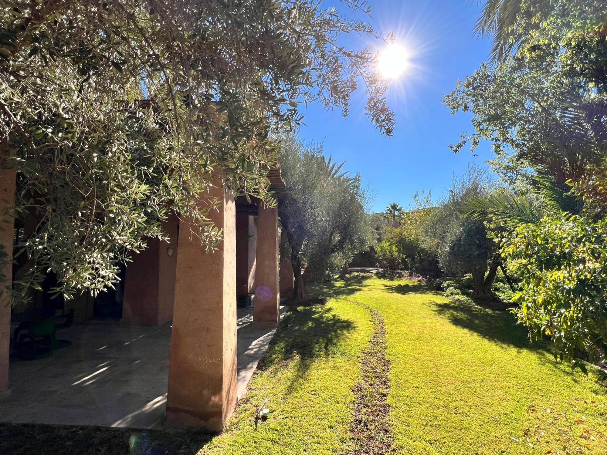 Kasbah De Luxe, Piscine Et Jacuzzi Chauffes, Jardin Tropical