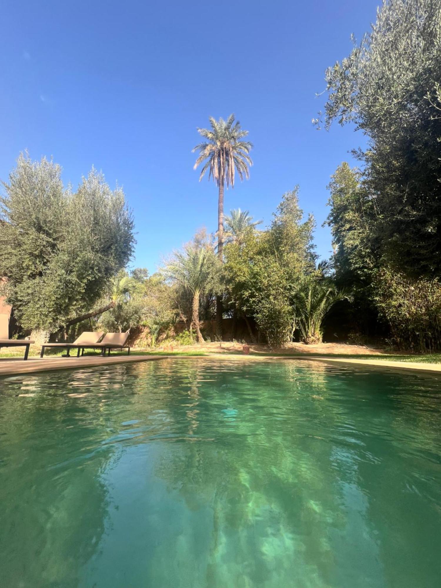Villa Kasbah De Luxe, Piscine Et Jacuzzi Chauffes, Jardin Tropical