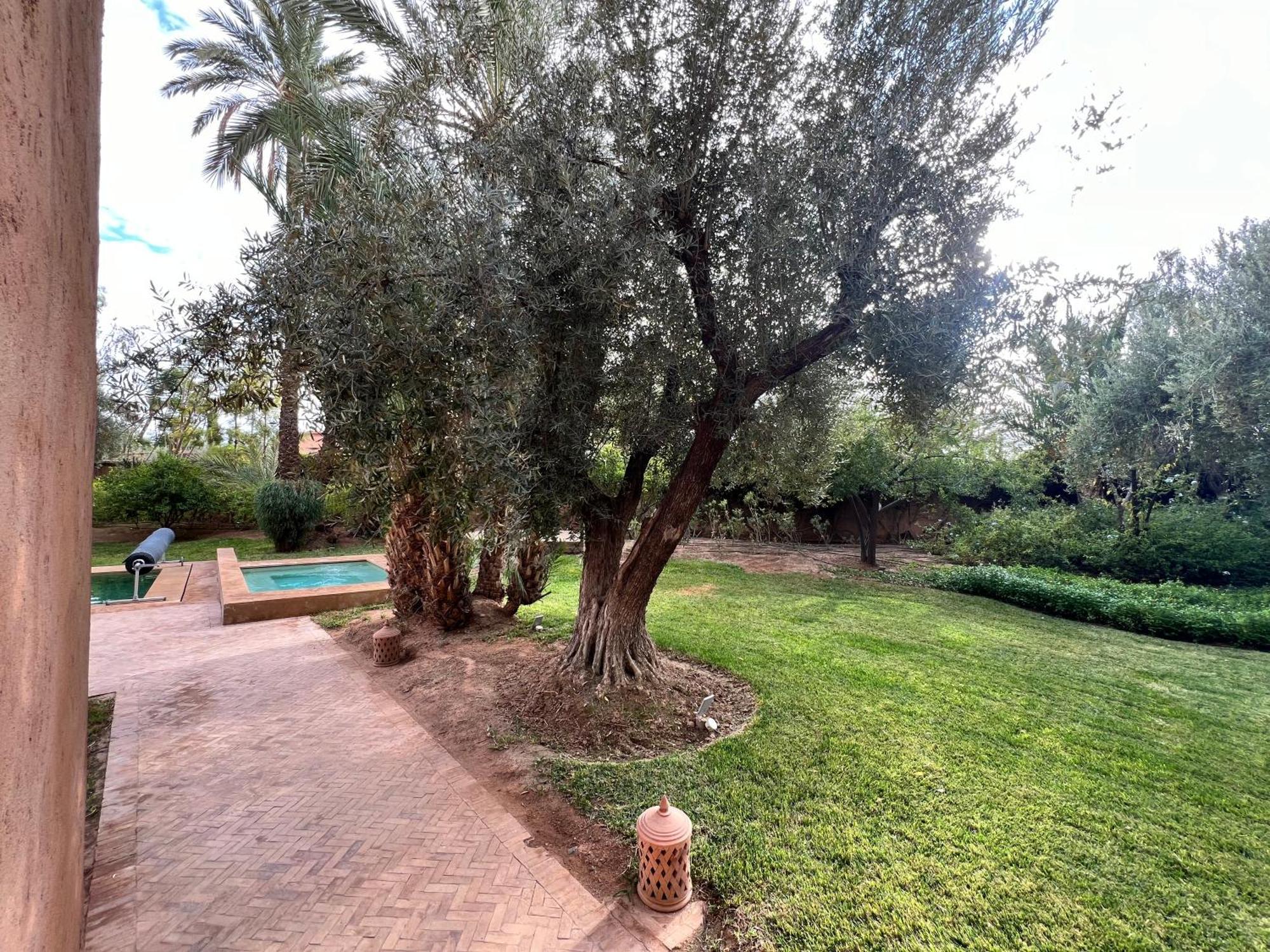 Villa Kasbah De Luxe, Piscine Et Jacuzzi Chauffes, Jardin Tropical Marrakesh