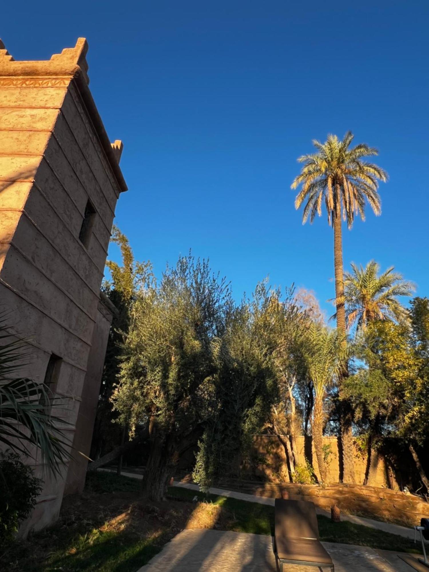 Kasbah De Luxe, Piscine Et Jacuzzi Chauffes, Jardin Tropical