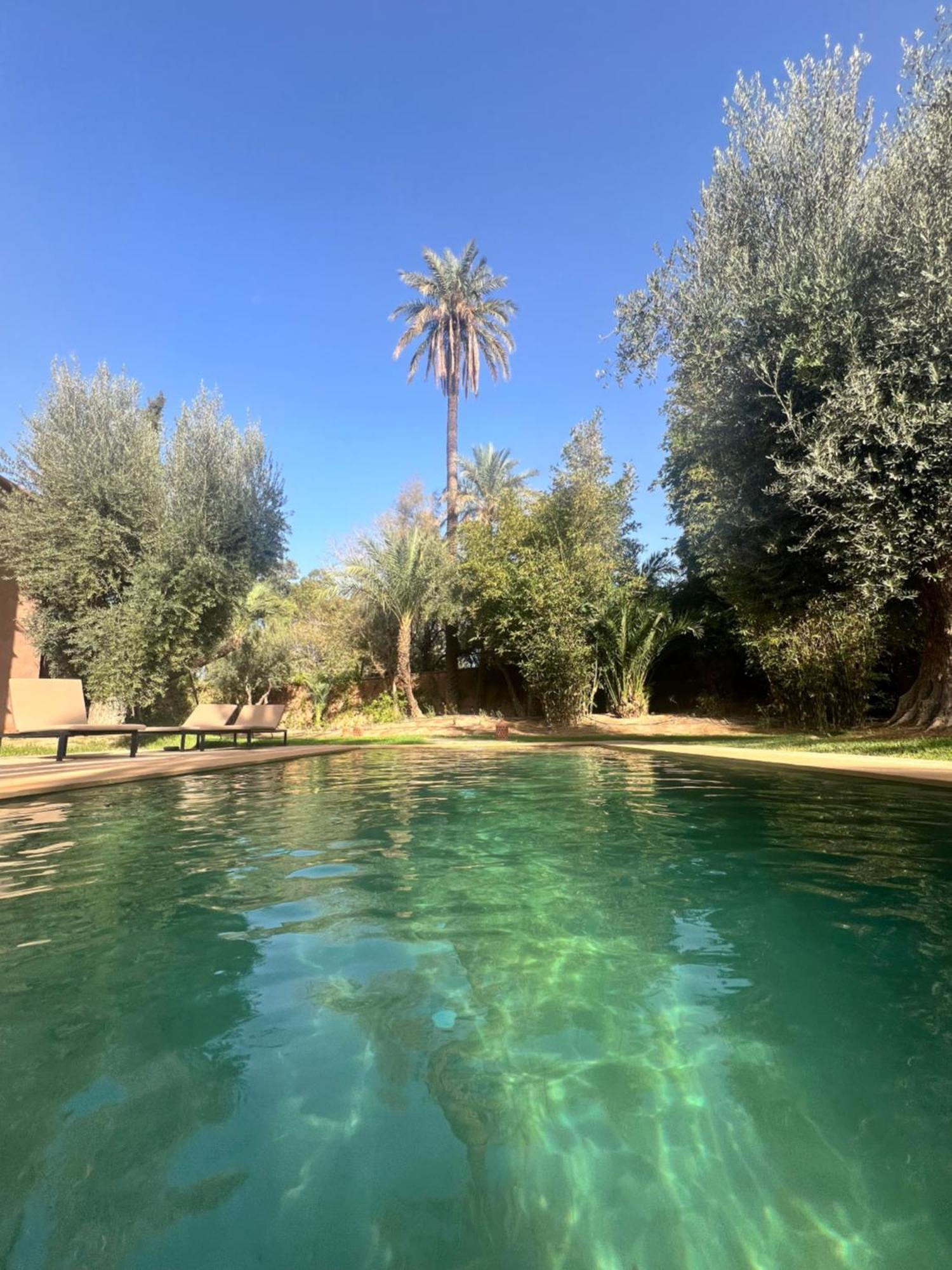 Kasbah De Luxe, Piscine Et Jacuzzi Chauffes, Jardin Tropical *