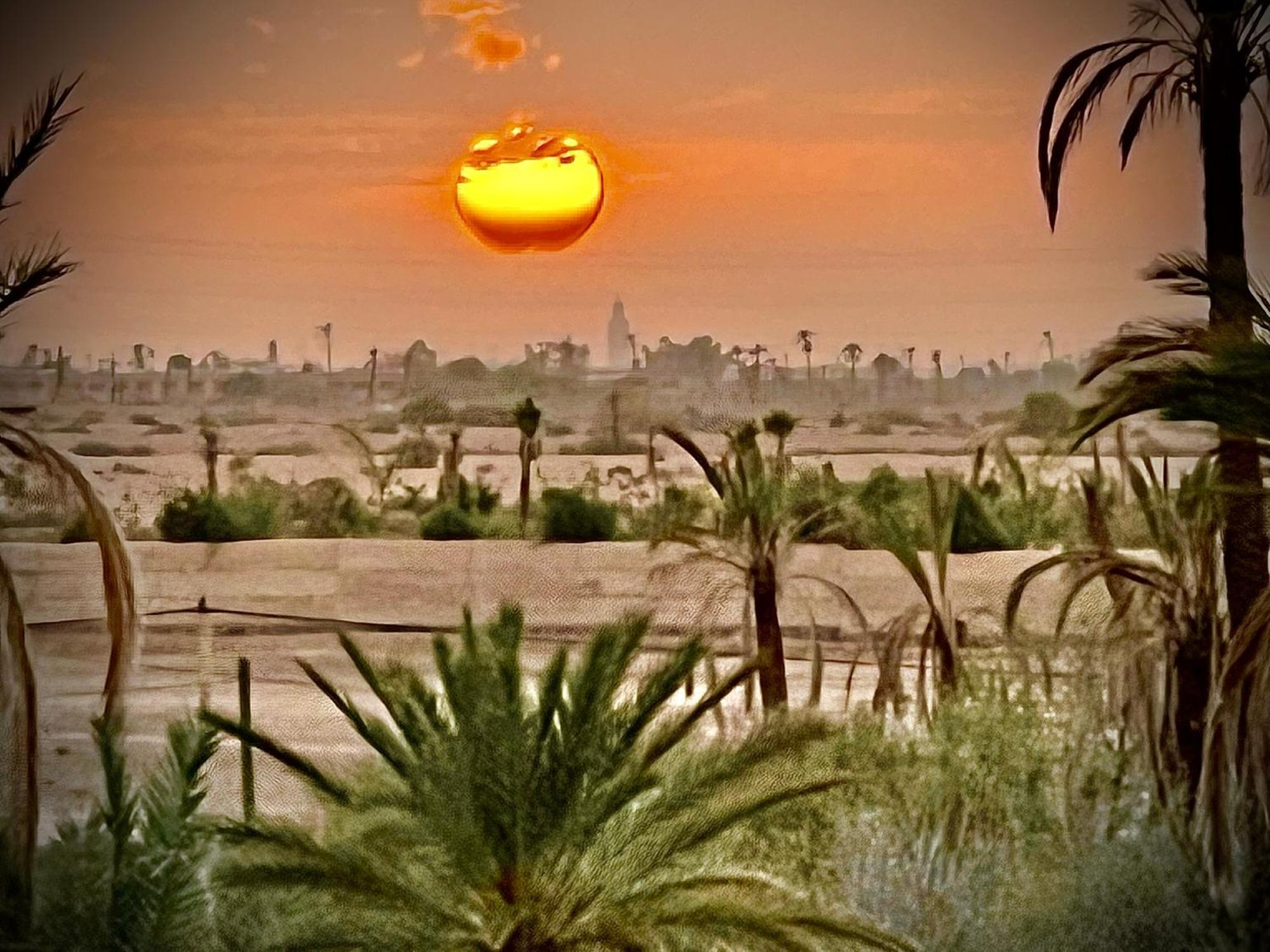 Kasbah De Luxe, Piscine Et Jacuzzi Chauffes, Jardin Tropical Villa *