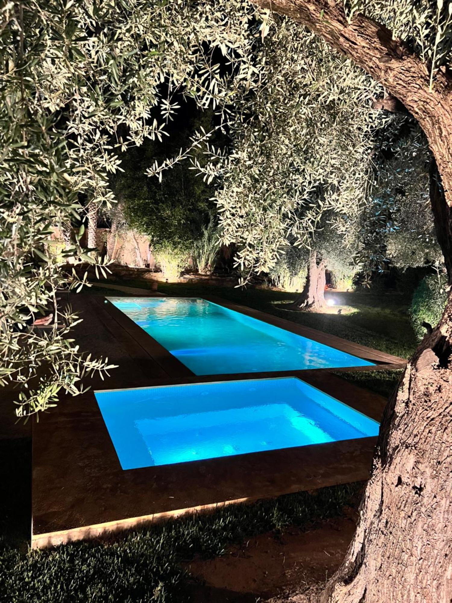 Kasbah De Luxe, Piscine Et Jacuzzi Chauffes, Jardin Tropical Villa *