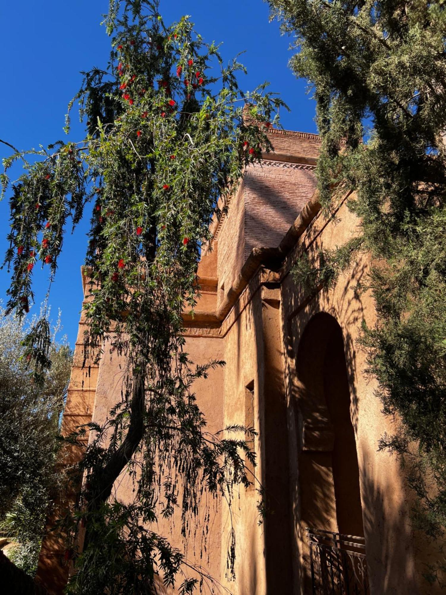 Villa Kasbah De Luxe, Piscine Et Jacuzzi Chauffes, Jardin Tropical Marrakesh