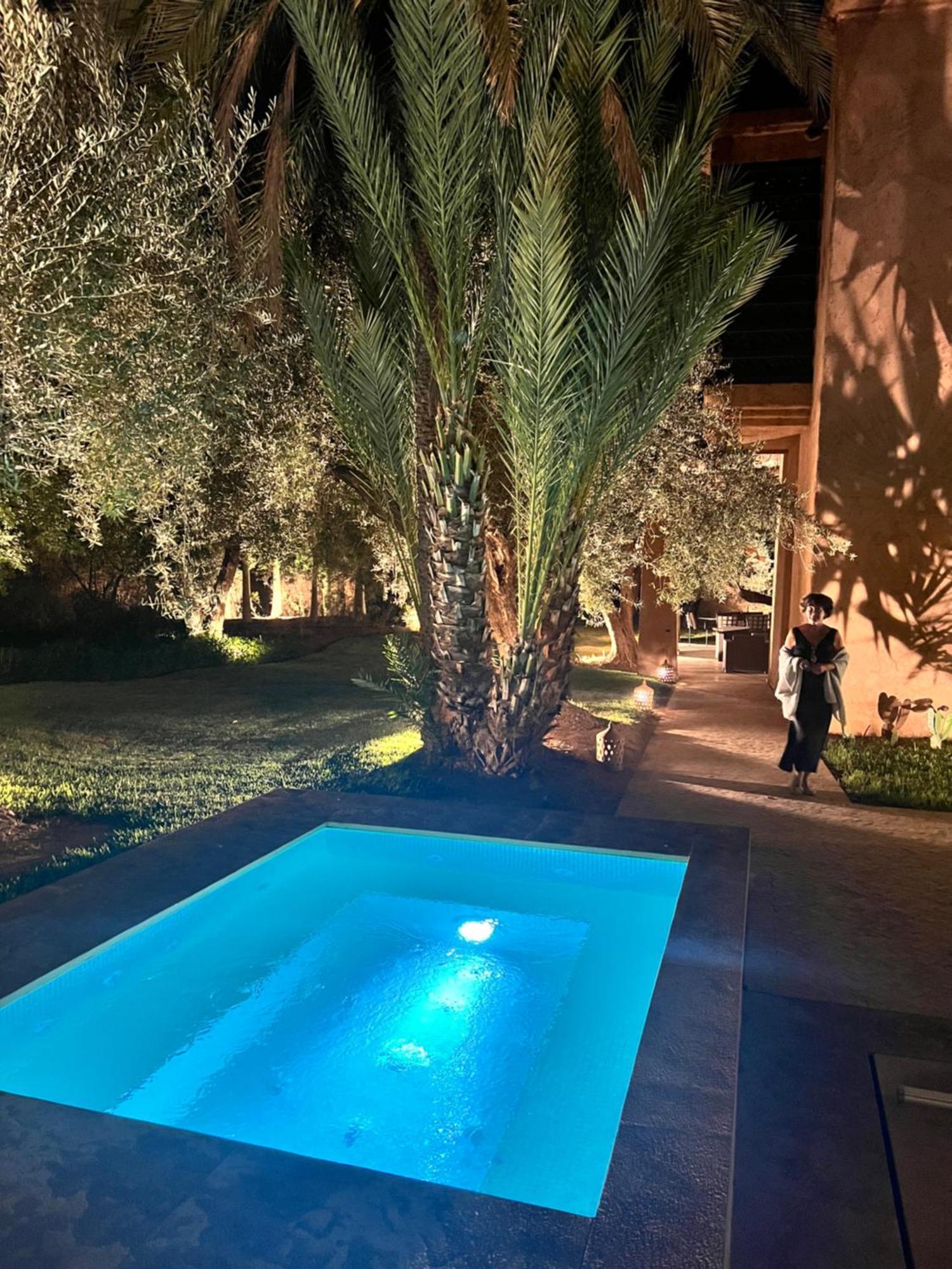 Kasbah De Luxe, Piscine Et Jacuzzi Chauffes, Jardin Tropical *