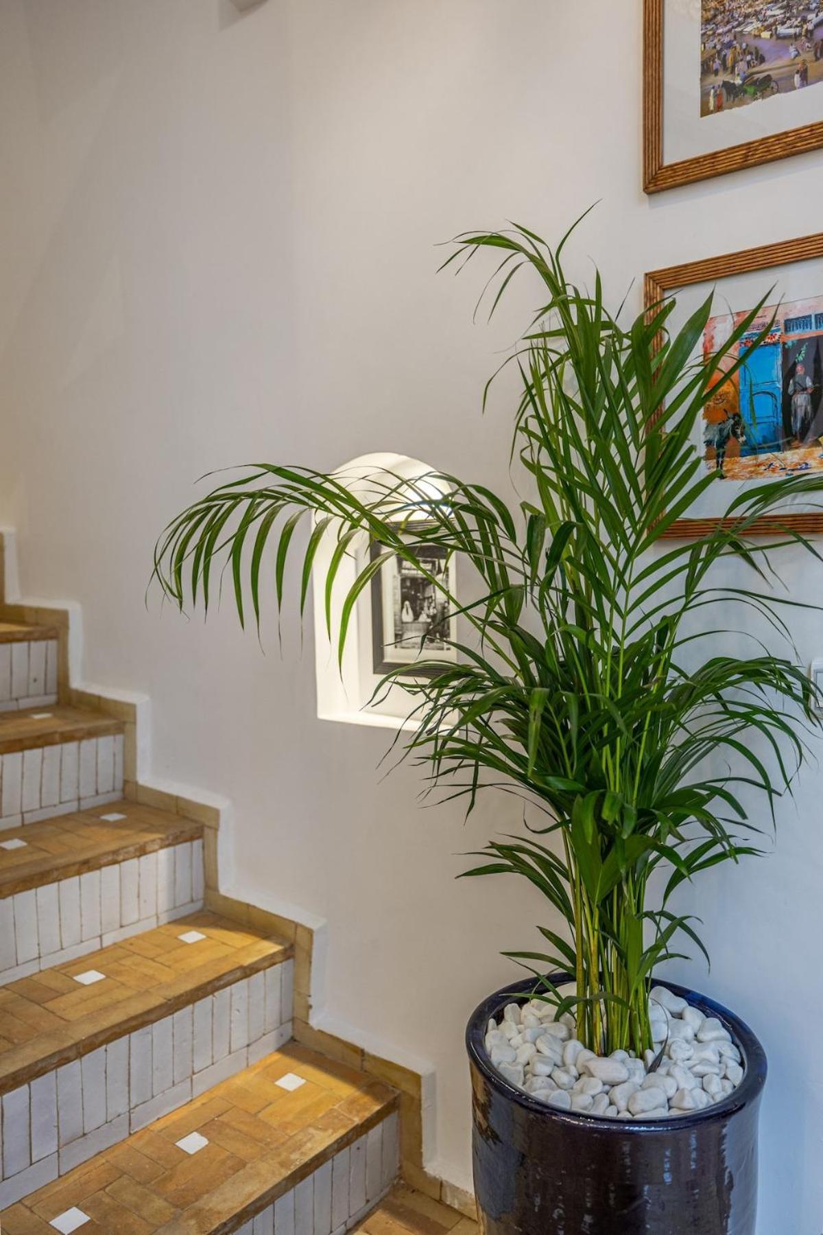 Villa Riad Catalia-exclusive&pool-freebreakfast-wifi *