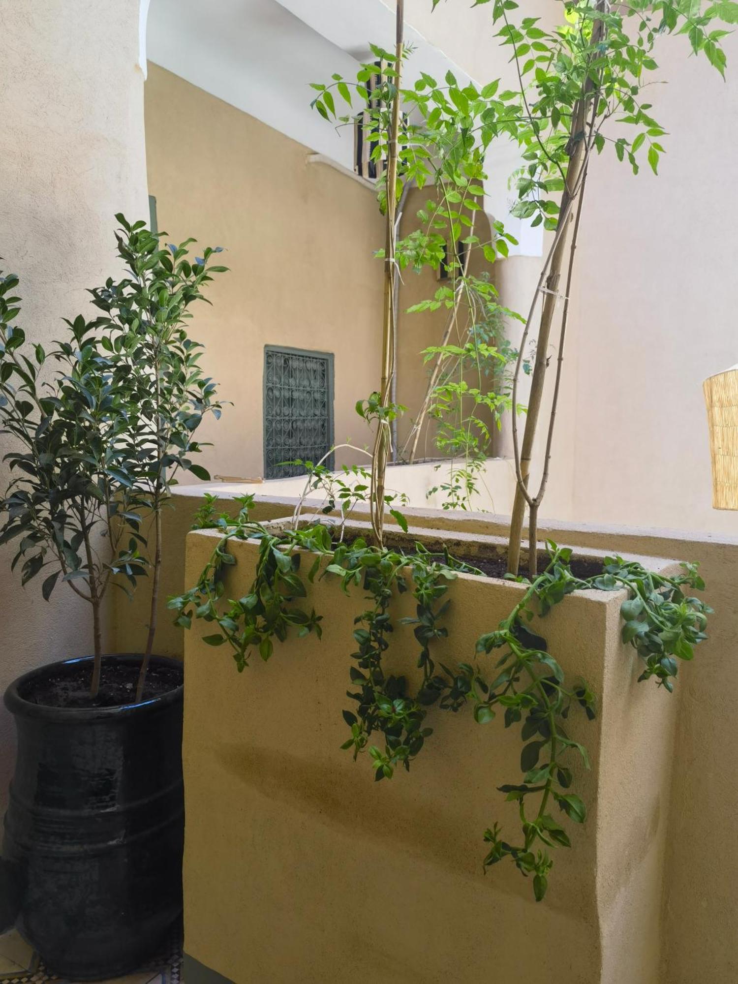 Medina Oasis Hostal