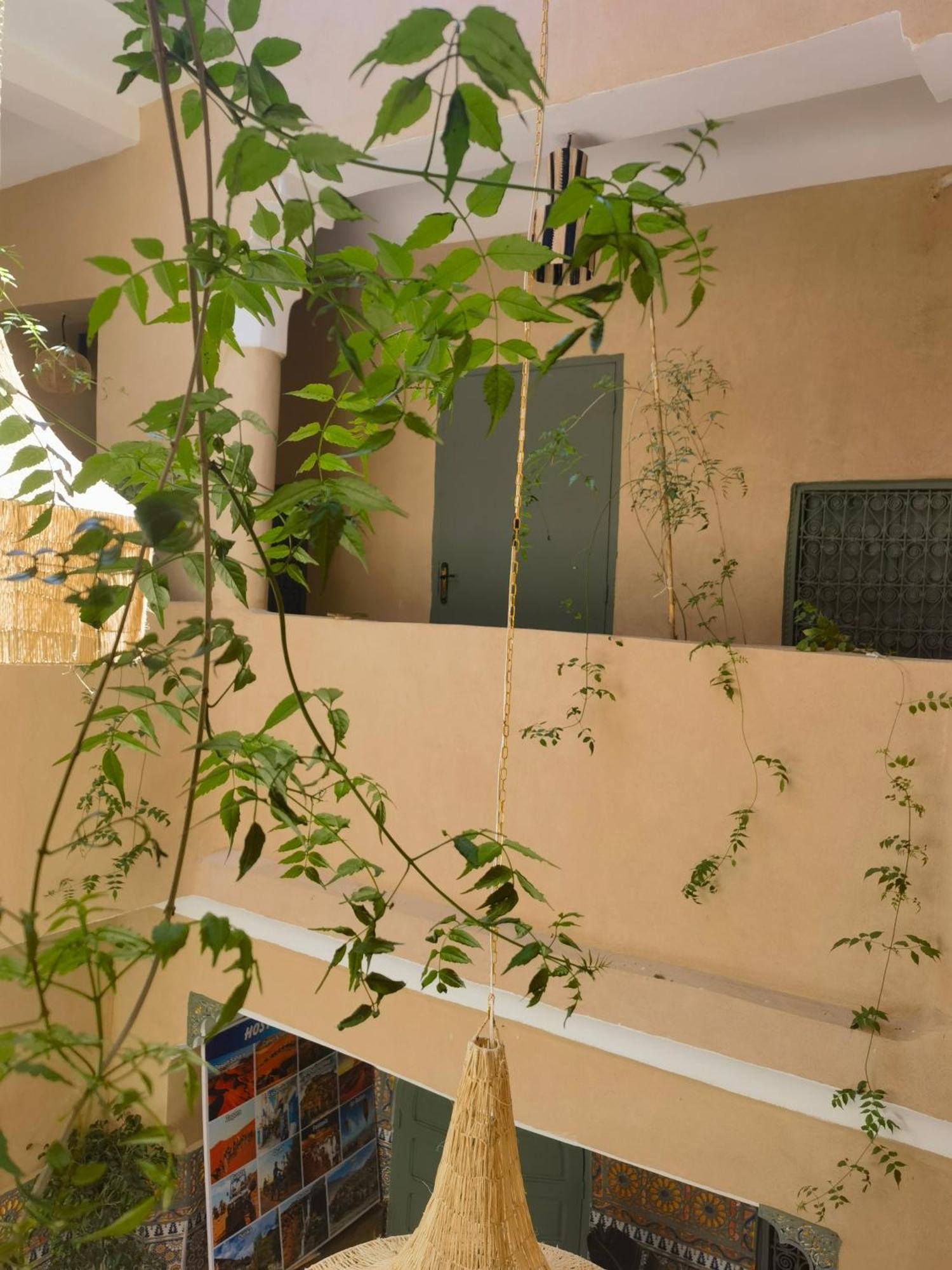 Hostal Medina Oasis *