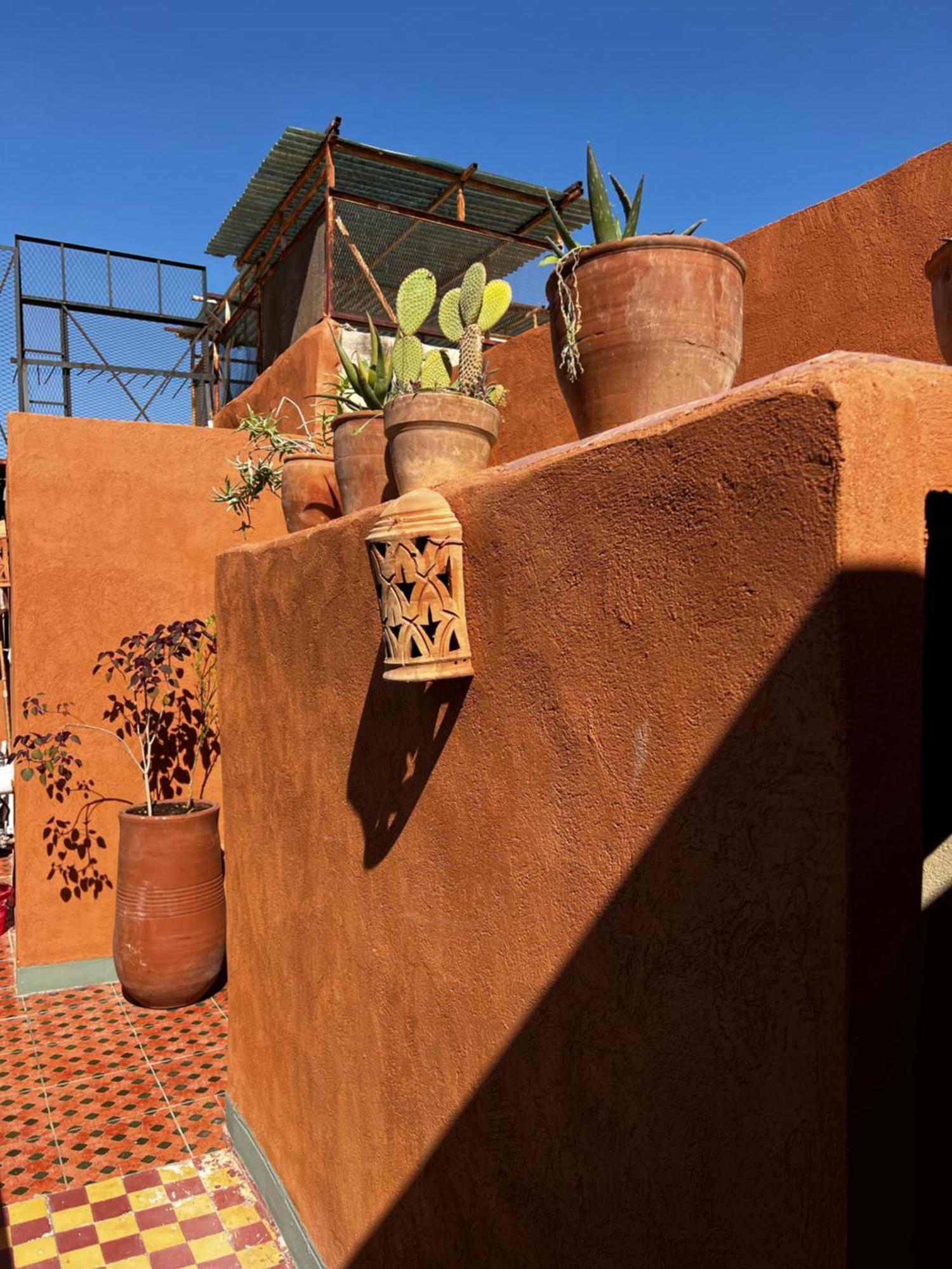 Hostal Medina Oasis *