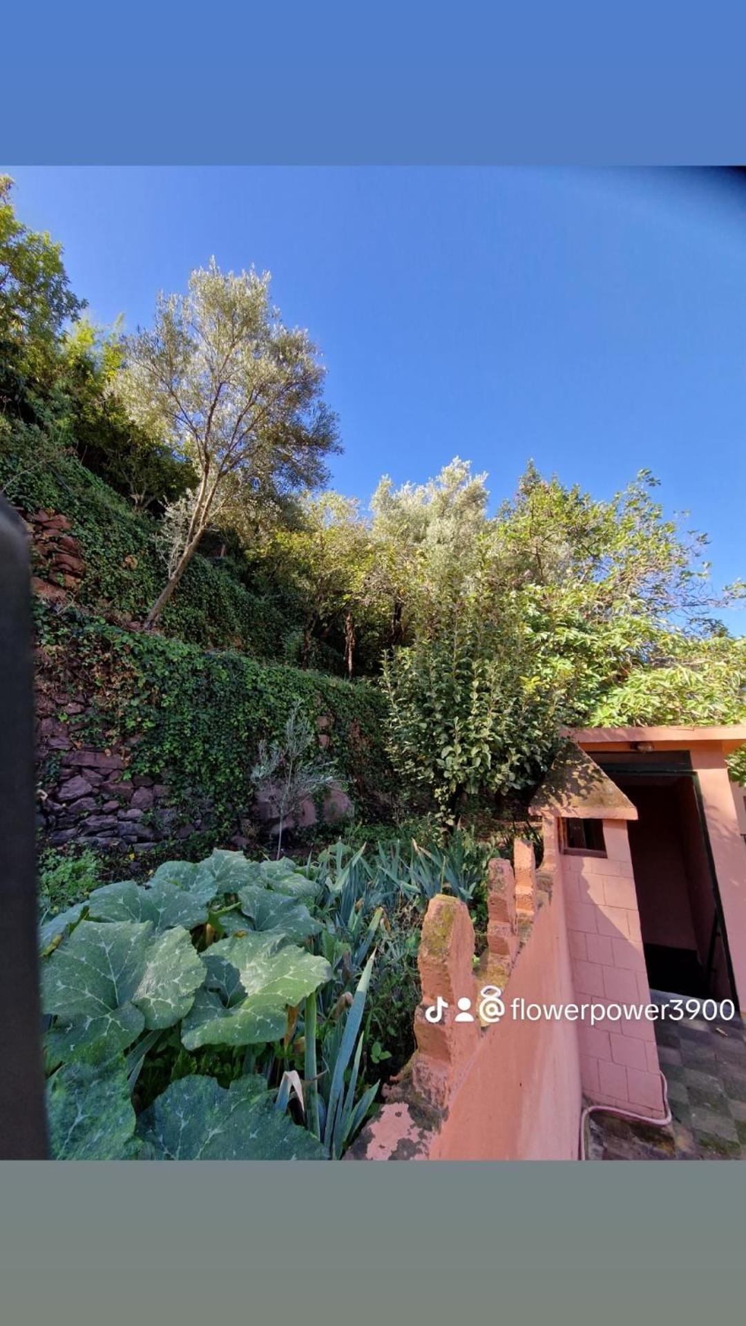 Romancia Ourika Vallee Hébergement de vacances Marrakesh