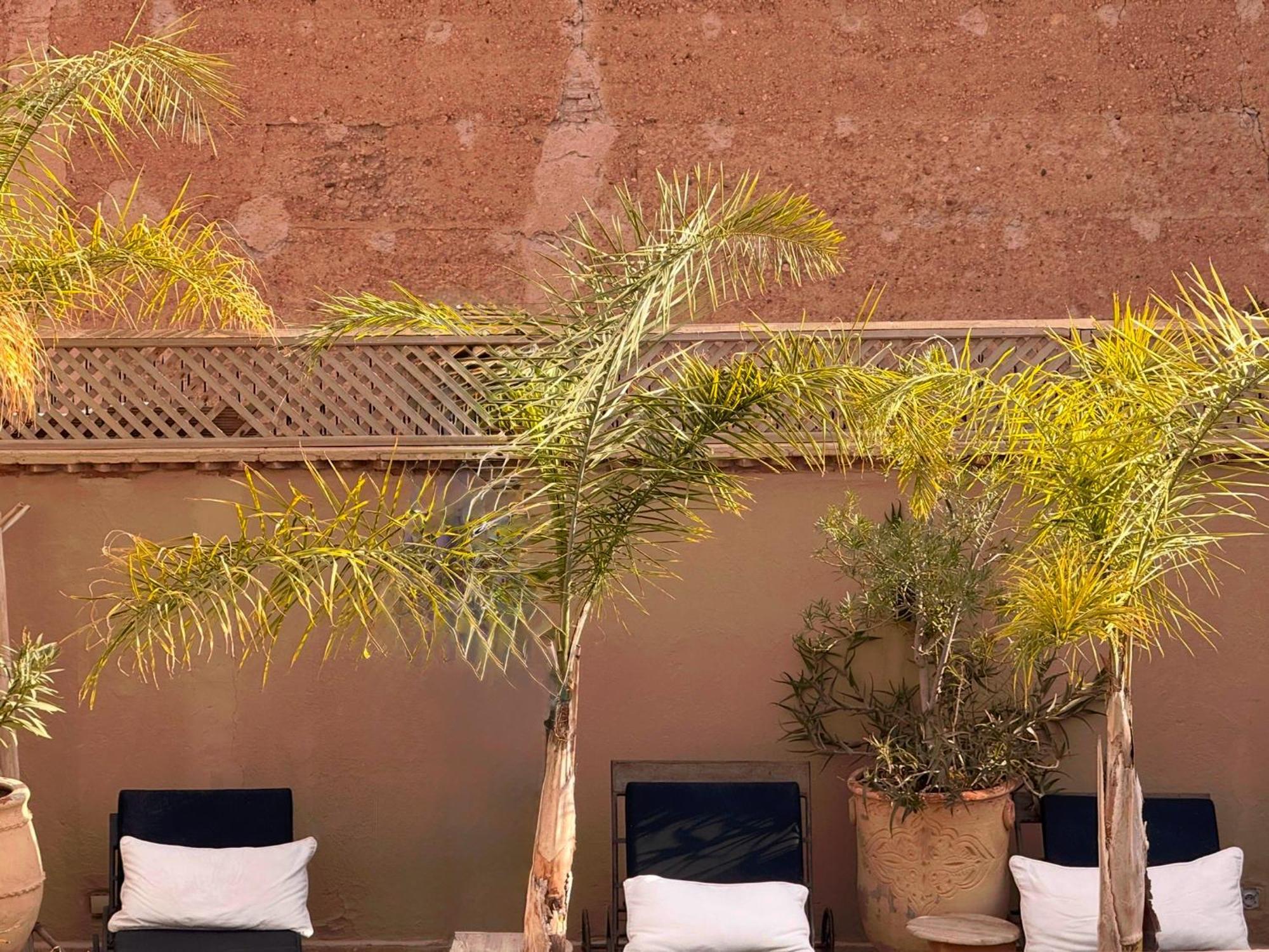 Riad Rafaele & Spa 4* Marrakesh
