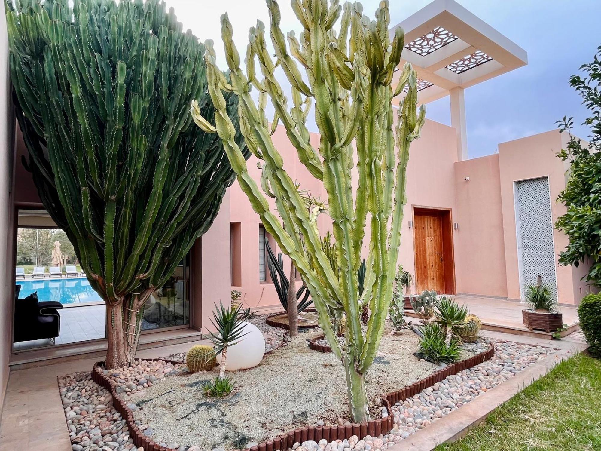 Hala Luxury Domain