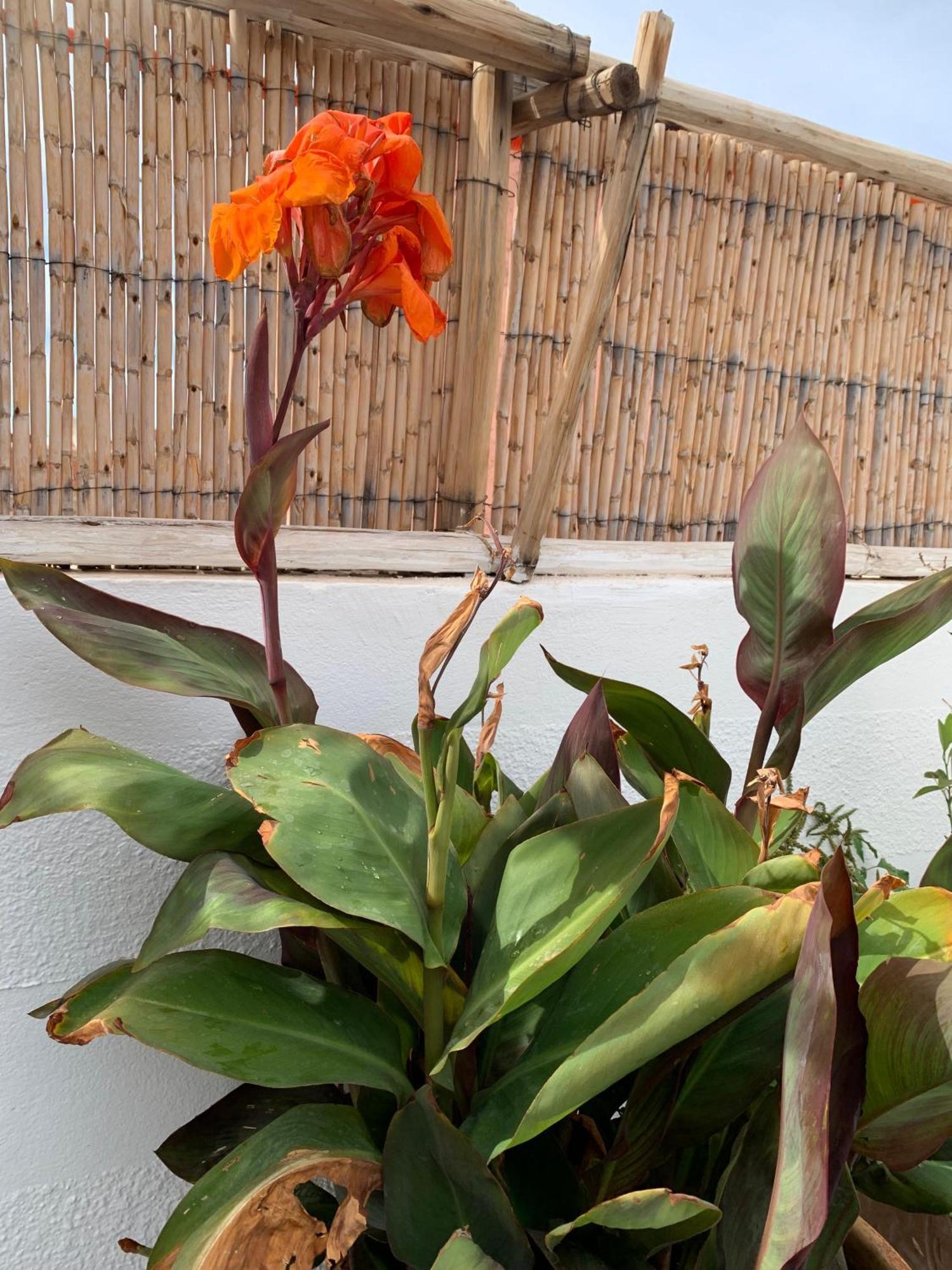Accommodatie bij particulieren Maison Imane Marrakech *