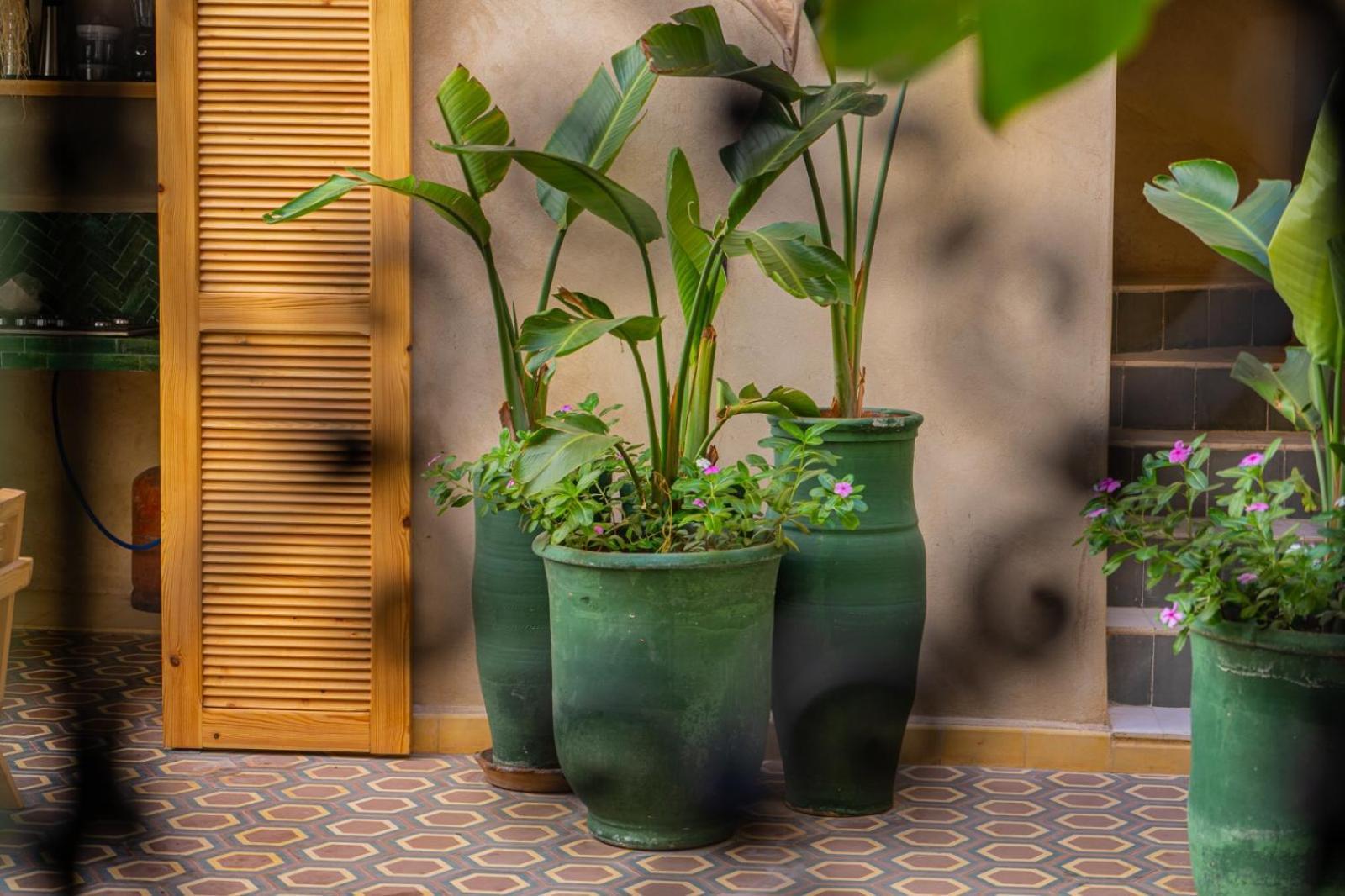 & Veridis Marrakesh