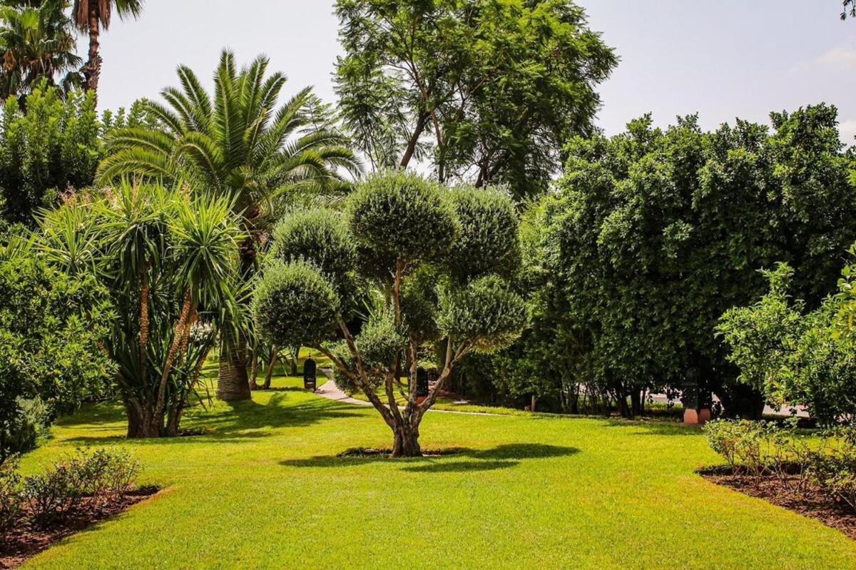 Park Villa, 8 Suites, Pool, 10mn From Gueliz *