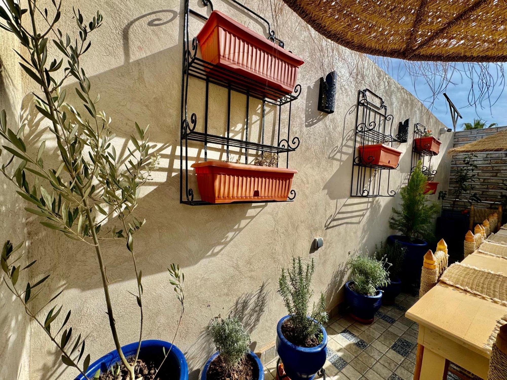 Riad Elbaroudi