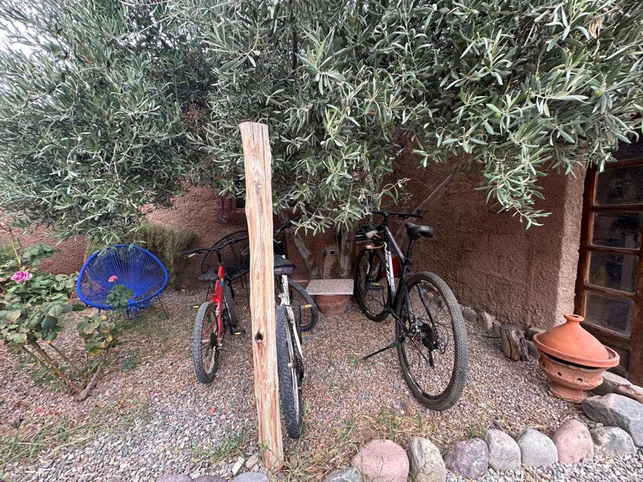 Ferme Tibrijine Chalet Marrakesh