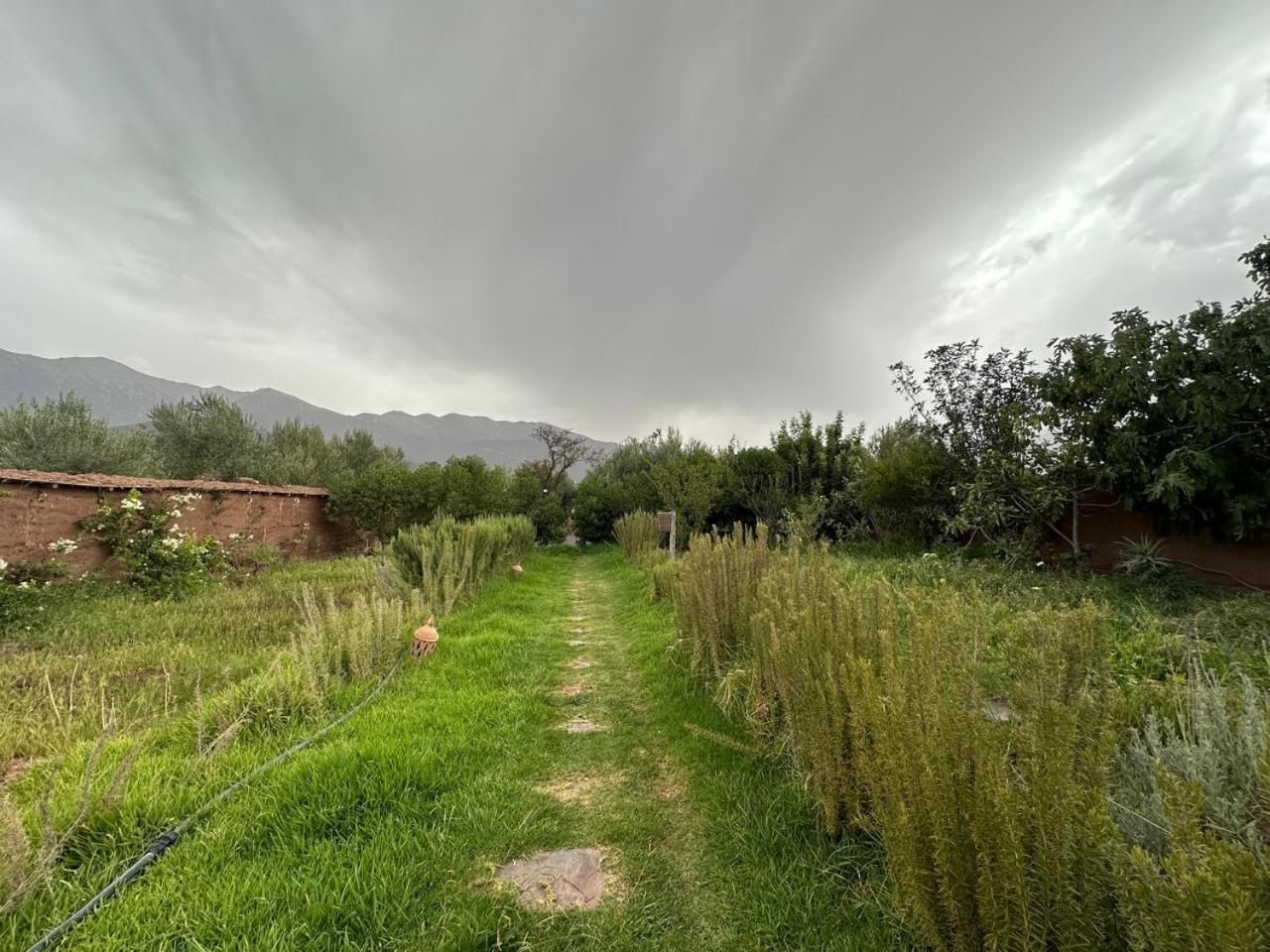 Ferme Tibrijine * Marrakesh