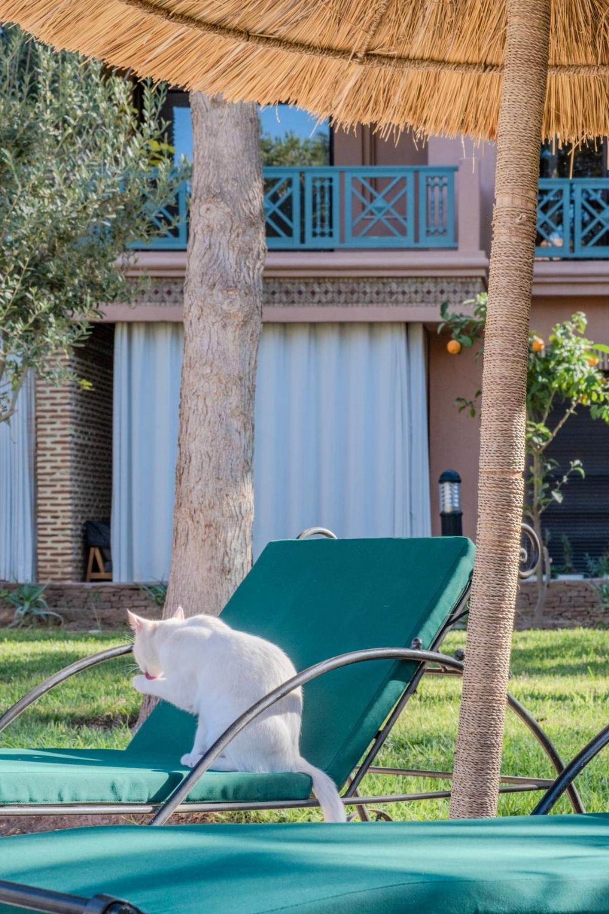 Luxury 2br With Pool & Garden View Balcony Marrakesh