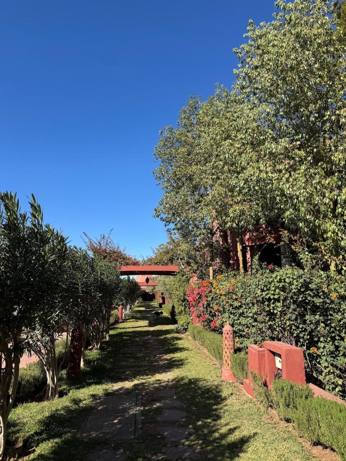 Zellige - Avec Gouvernante Appartement