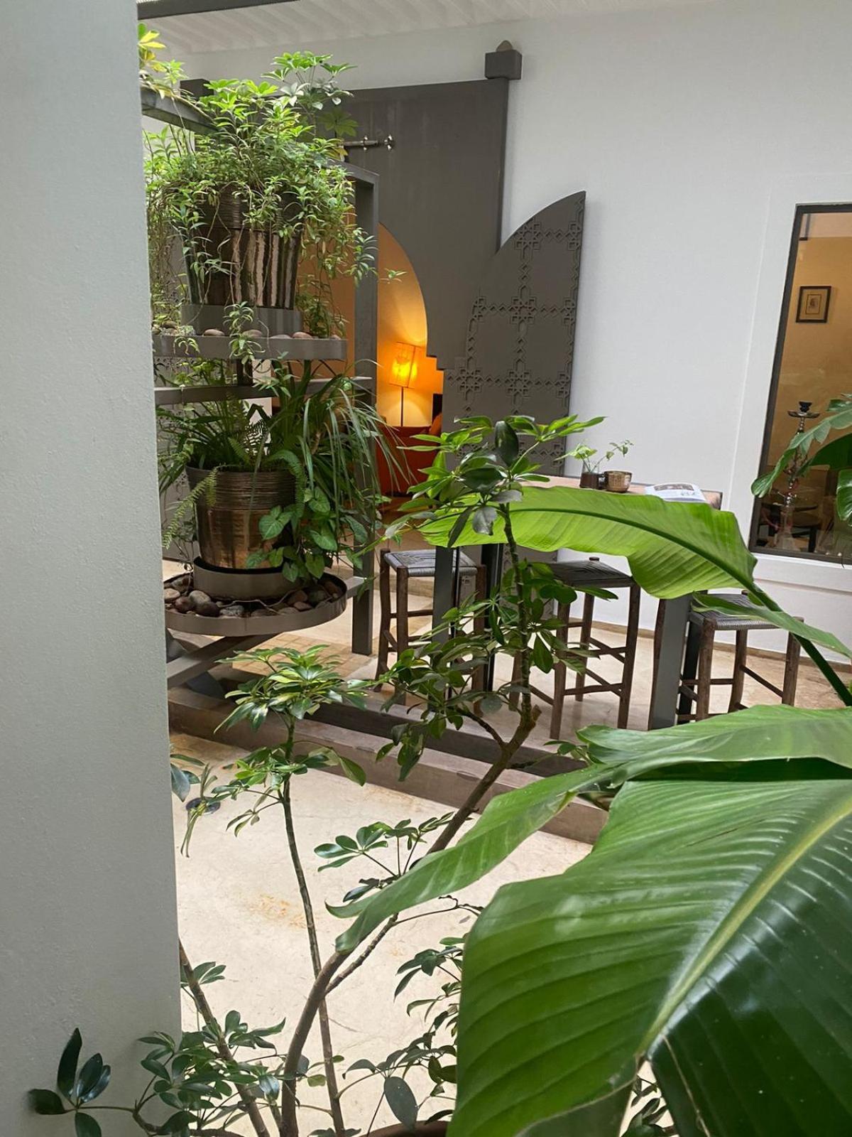 Dar 73 Riad