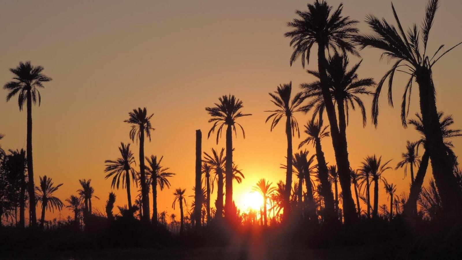 La Rose Des Sables Villa *