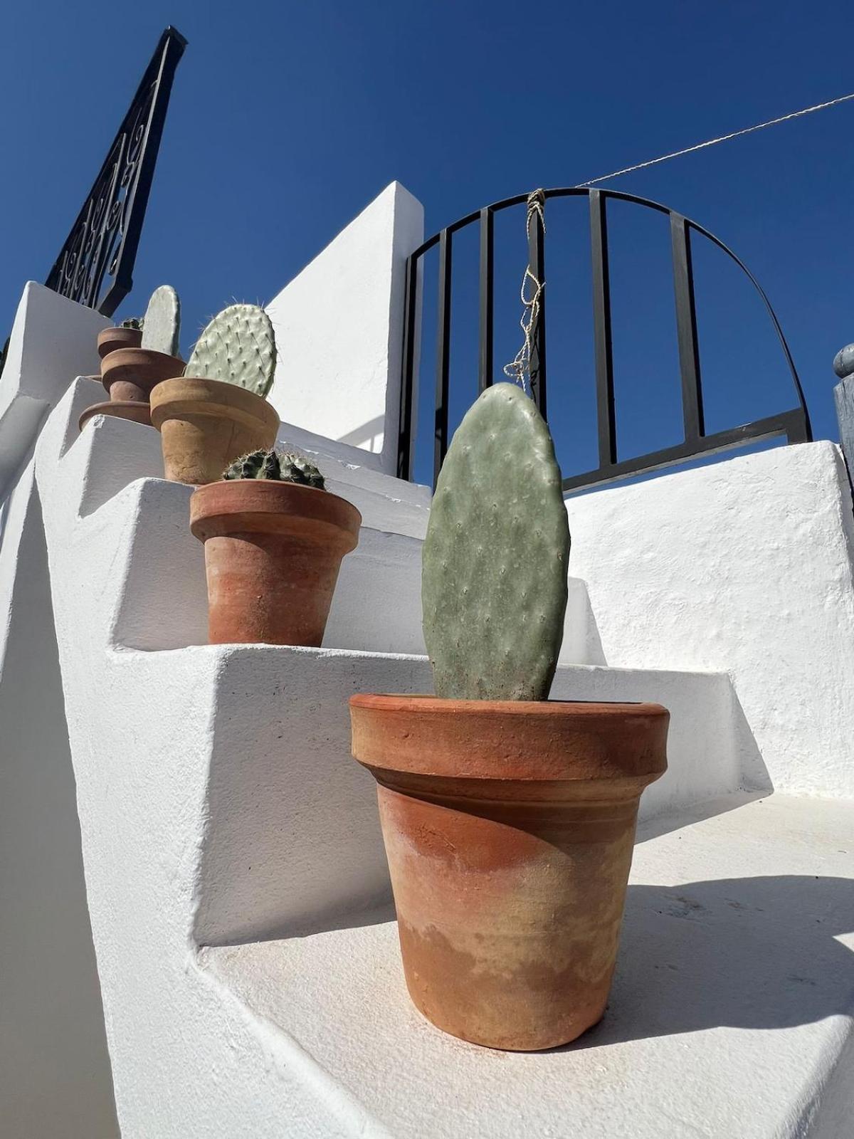 Casa vacanze La Petite Dar, 4 Chambres, 5 Min Place Jamaa El Fna Marrakesh