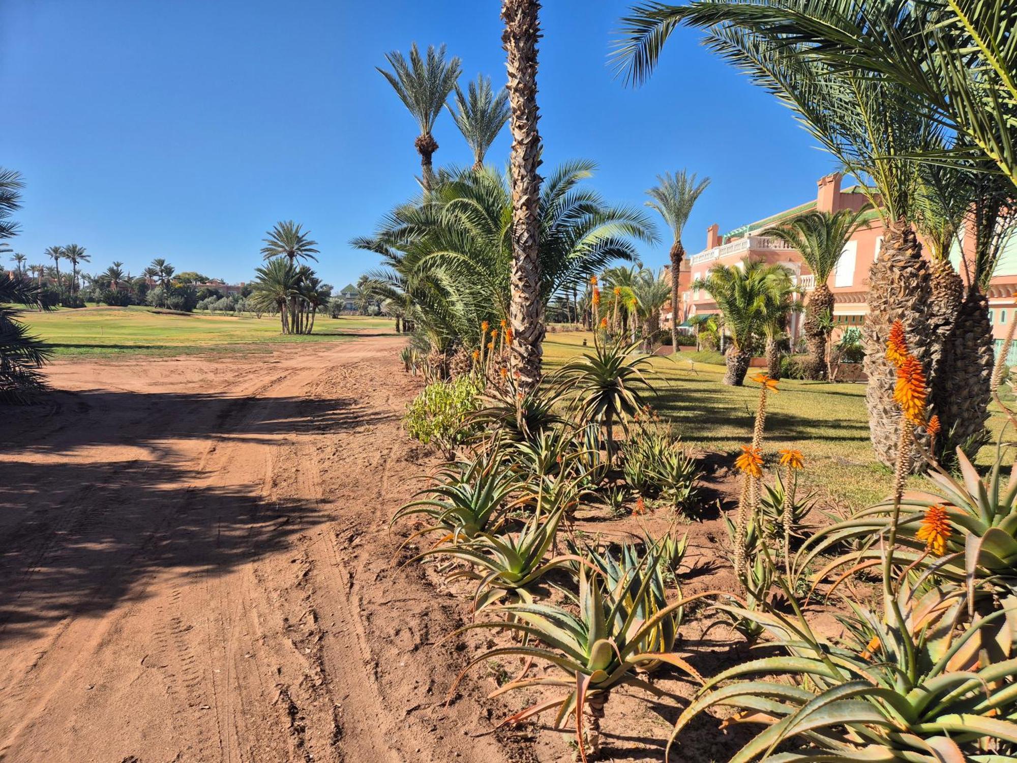 Bella Golf Palmeraie
