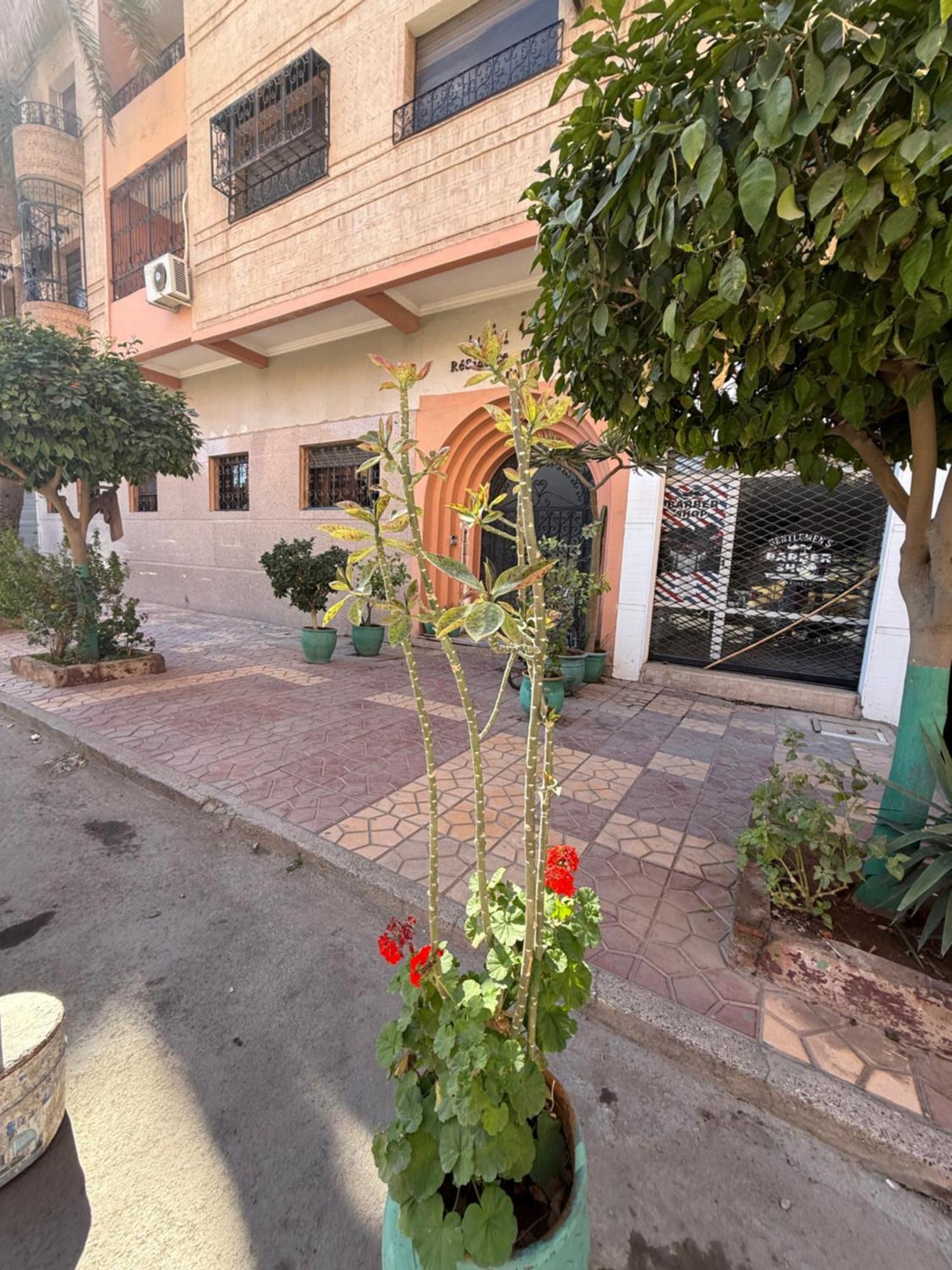 Appartamento A Majorelle & Family Marrakesh